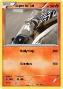 Super fat cat
