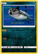 dogeshark