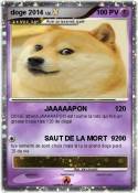 doge 2014