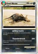 Dead Moose