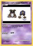 rottweiler-staf