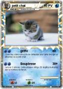 petit chat