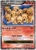 super puppies