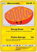 Mitochondria