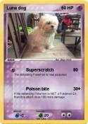 Luna dog