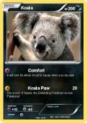 Koala