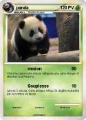 panda