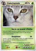 Chatacheplante
