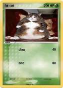 fat cat