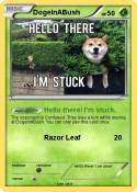 DogeInABush