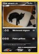 Chat pénard