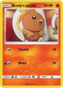 Brody's torchic