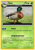Duck