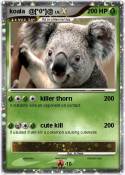 koala @[*0*]@