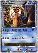Tigre Blake