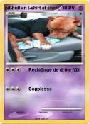 pit-bull en