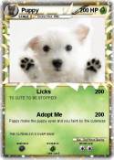 Puppy