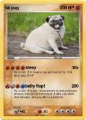 fat pug