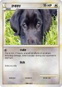 puppy
