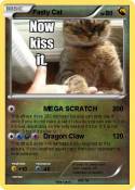 Fasty Cat