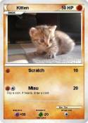 Kitten