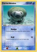 Florida Manatee