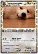 Timon samoyede
