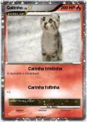 Gatinho