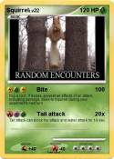 Squirrel