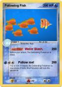 Following Fish