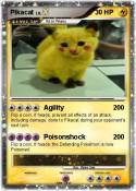 Pikacat