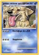golden retrieve