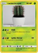 cactus in a