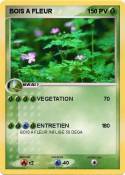 BOIS A FLEUR