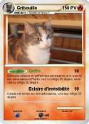 Gribouille
