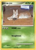 lynx au zoo