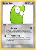 Spring Bean