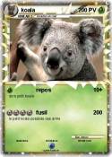 koala