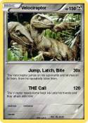 Velociraptor