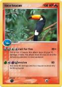 toco toucan