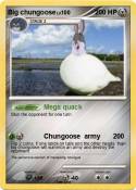 Big chungoose