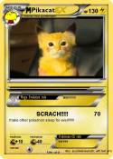 Pikacat