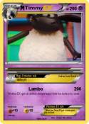 Timmy