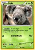 koala