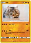 cat