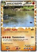 pond of ducklet