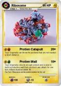 Ribosome