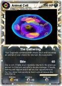 Animal Cell