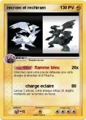 zecrom et rechi
