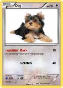 Dog